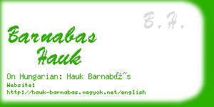 barnabas hauk business card